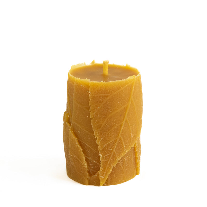 Bougie en cire d’abeille naturelle avec motif feuille nervurée, brûle lentement