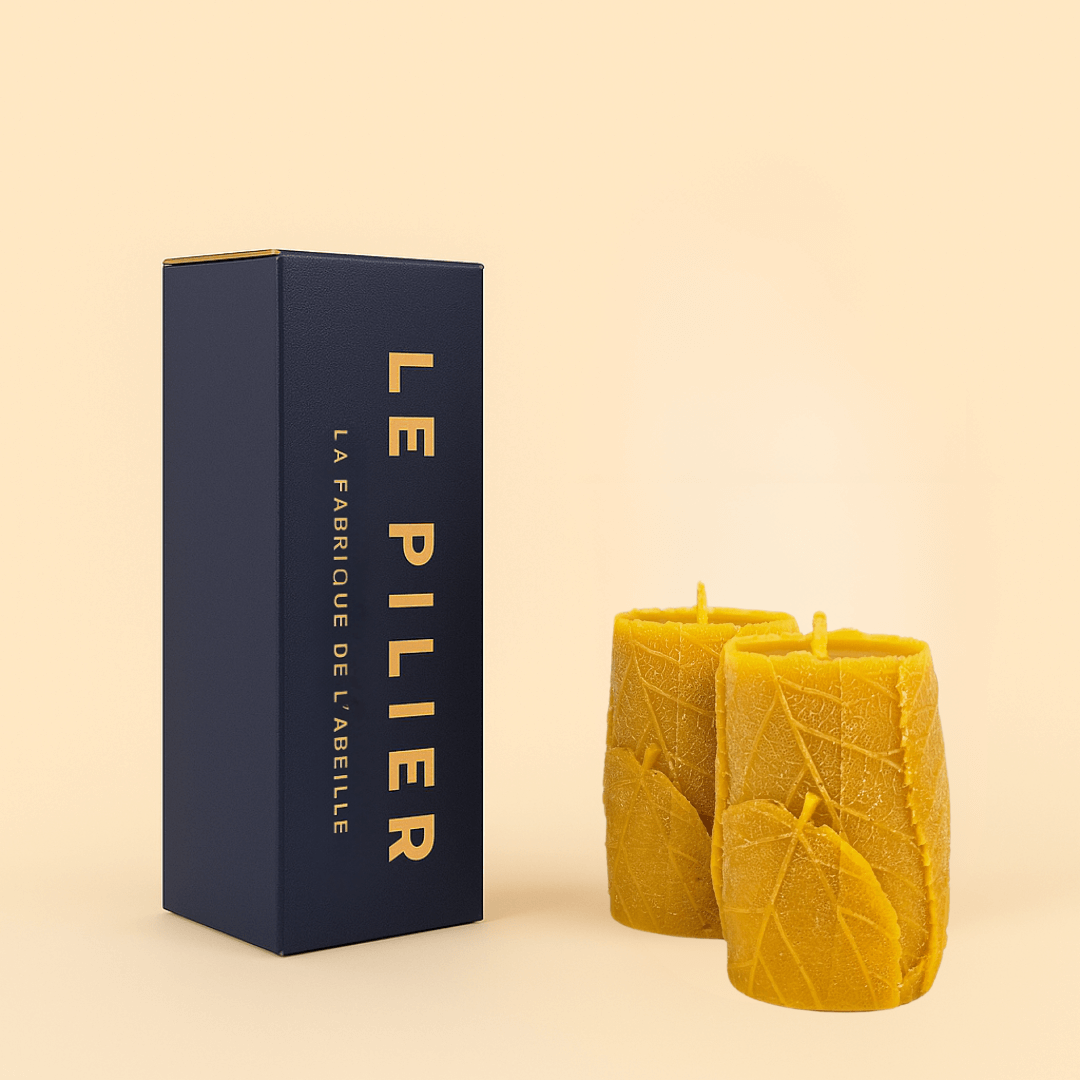 Bougie feuille longue durée en cire d’abeille naturelle – environ 30h de combustion, avec packaging “LE PILIER” de La Fabrique de l’Abeille, bougie artisanale au design végétal et écologique.