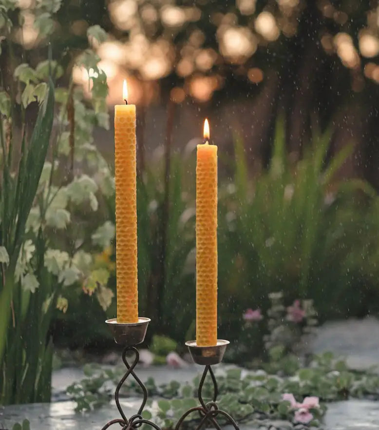 Deux bougies chandelles naturelles en cire d’abeille allumées, posées dans un jardin au coucher du soleil