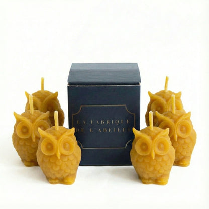 Bougie hiboux en cire d'abeille