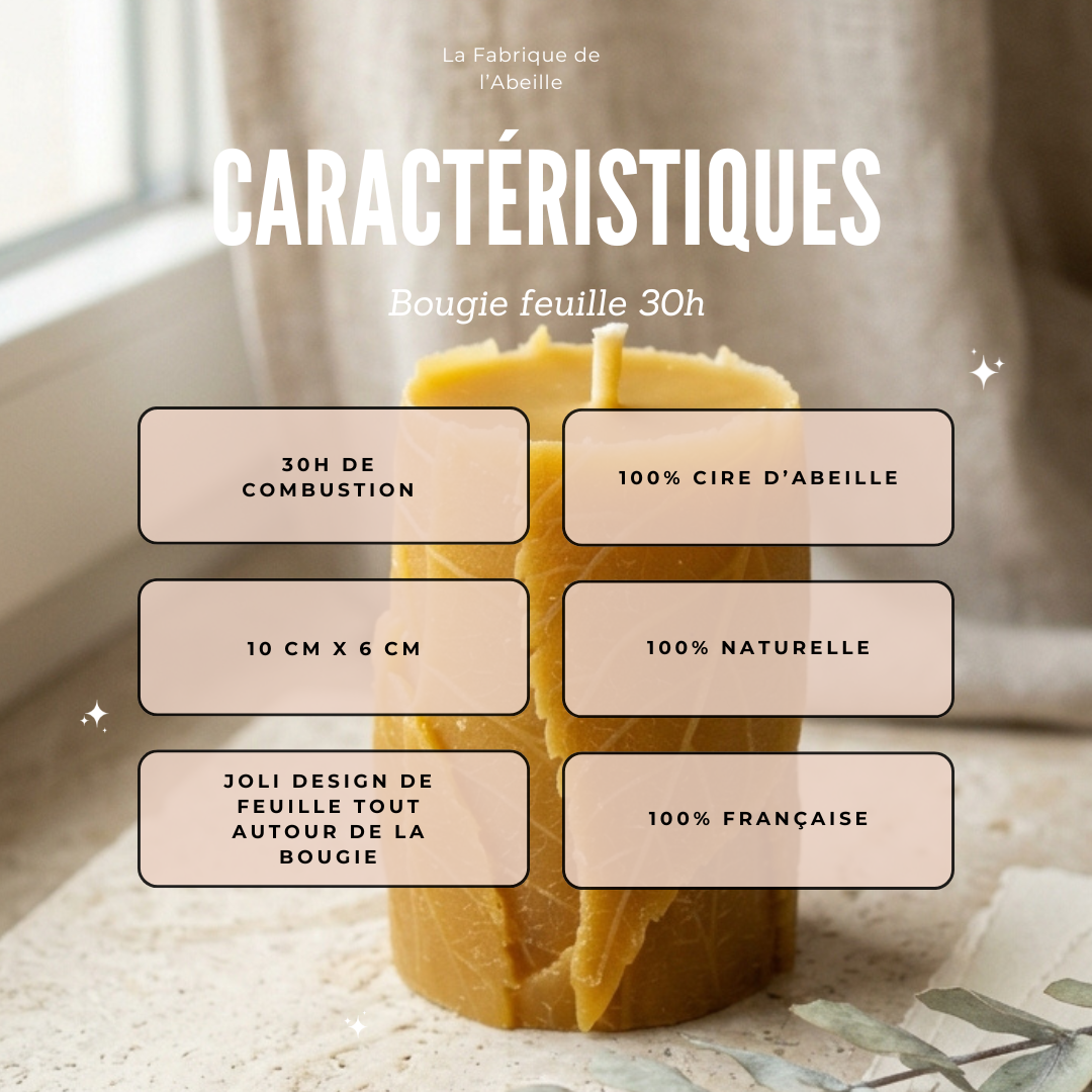 Bougie feuille 30h