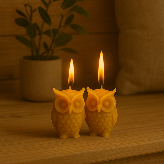 Deux bougies hiboux en cire d’abeille allumées, posées sur une table en bois clair, avec une plante et un coussin en arrière-plan chaleureux.