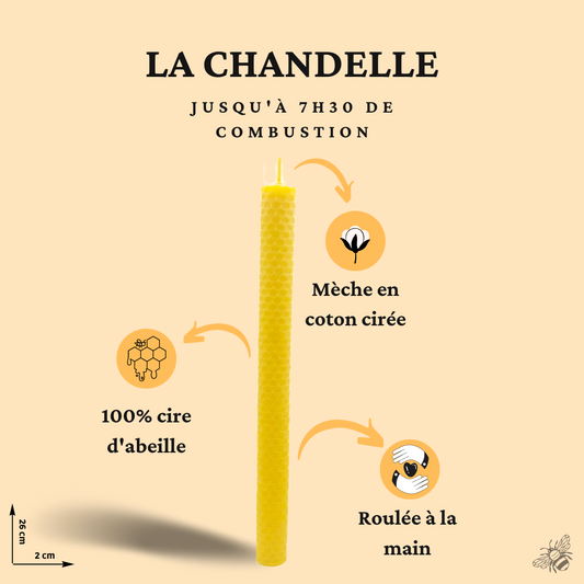 Chandelle roulée en cire d'abeille non toxique